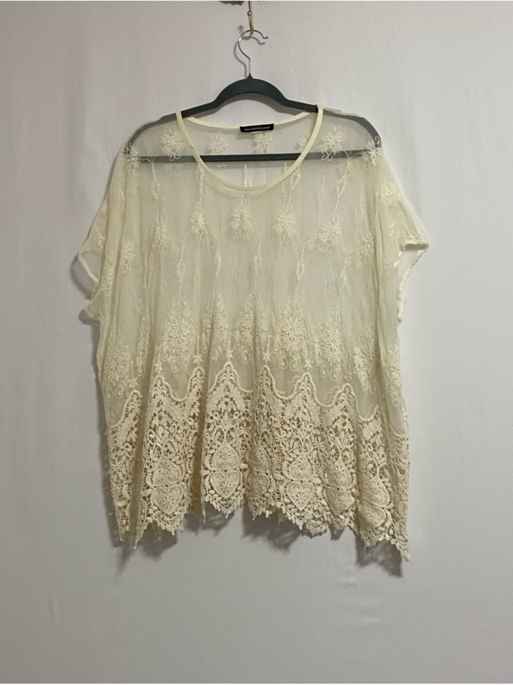 Sheer Crochet Lace Tunic Top in Cream